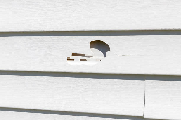 Professional Siding Installation & Repair in Rantoul, IL